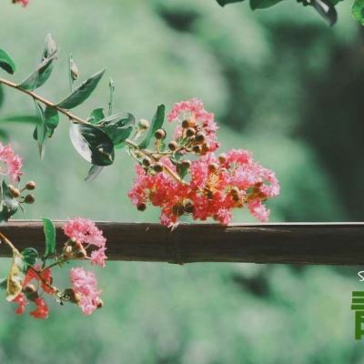 半岛综合体育APP